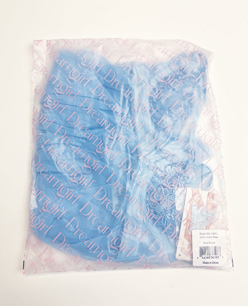 Floral Embroidered Lace and Stretch Mesh Babydoll w/G-String 2 pc Set - Arctic Blue XL