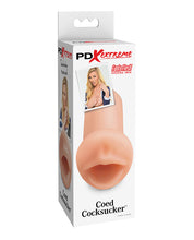 PDX Extreme Coed Cocksucker - Brown