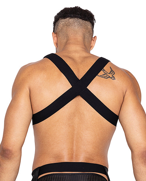 Master Harness w/Hook & Ring Closure Black MD