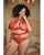 Allure Lace Halter Top & Backless Panty Red QN