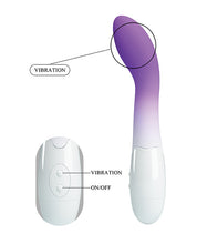 Pretty Love Bishop Vibrator - Purple Ombre