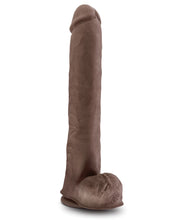 Blush Au Naturel Daddy 14' Sensa Feel Dual Density Dong w/Suction Cup - Chocolate