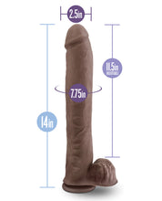 Blush Au Naturel Daddy 14' Sensa Feel Dual Density Dong w/Suction Cup - Chocolate