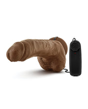 Blush Coverboy The Boxer 9' Vibrating Realistic Cock - Mocha