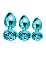 Nixie Metal Butt Plug Trainer Set W/inlaid Jewel