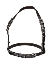 Euphoria Collection Halter Buckle Harness