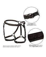 Euphoria Collection Riding Thigh Harness