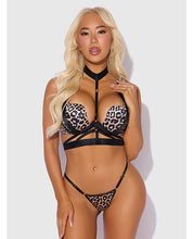 Devon Push Up Bra w/Harness & G-String 3 pc Set - Leopard SM