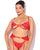 Cecily Lace Cut-Out Bra & Thong w/Garter Straps - Red 3X/4X