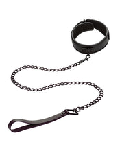 Nocturnal Collection Detachable Collar & Leash - Black