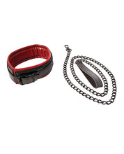 Saffron Leash & Collar