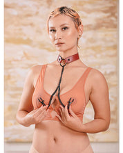 Saffron Collar w/Chain Nipple Clamps