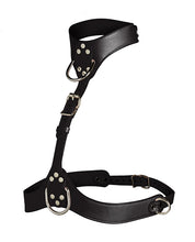 Vixen Female Chest Harness - Black