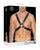 Shots Ouch Men's Large Buckle Harness - Black