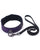 Spartacus Galaxy Legend Collar & Leash - Purple