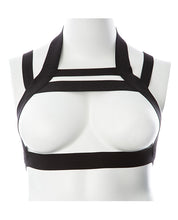 Gender Fluid Majesty Harness - Black